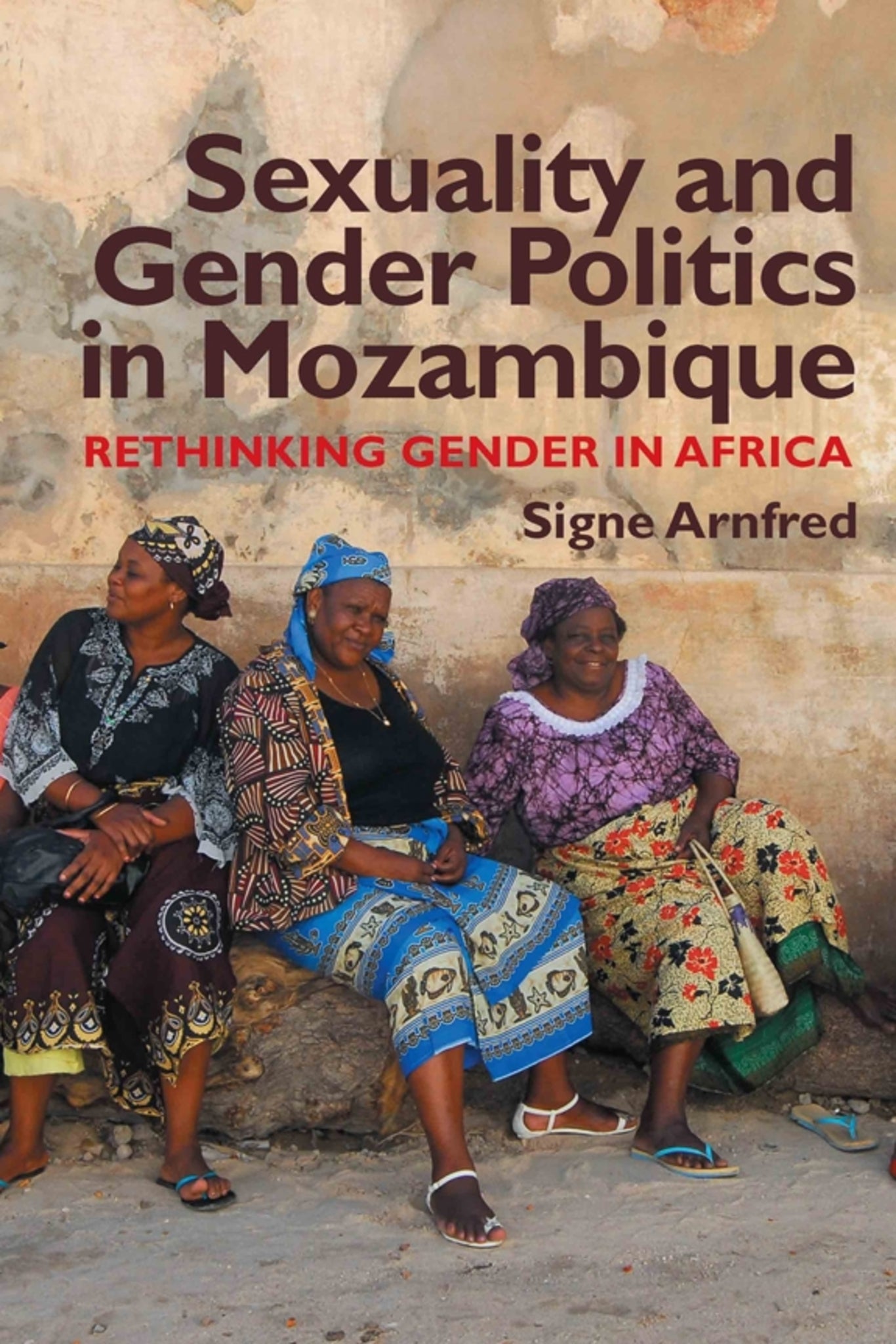 Cover image for Sexuality and Gender Politics in Mozambique ISBN 9781847010872